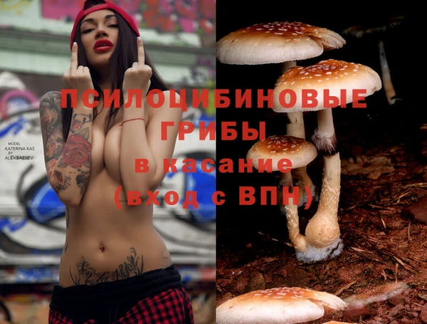 ALPHA-PVP Елабуга
