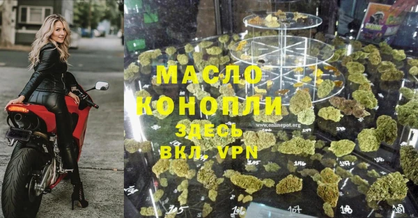 дмт Елизово