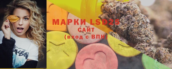меф Ельня