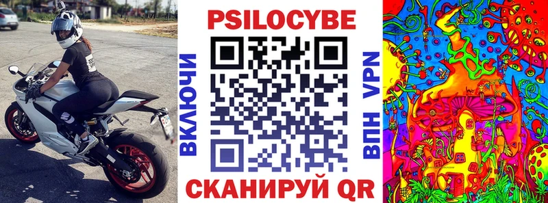 Купить где  Ефремов  Галлюциногенные грибы Magic Shrooms 